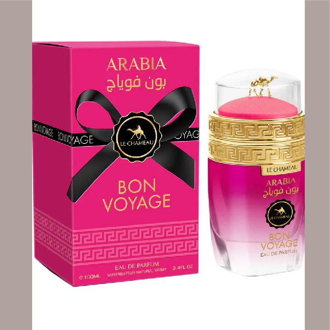 MINI Arabia Bon Voyage